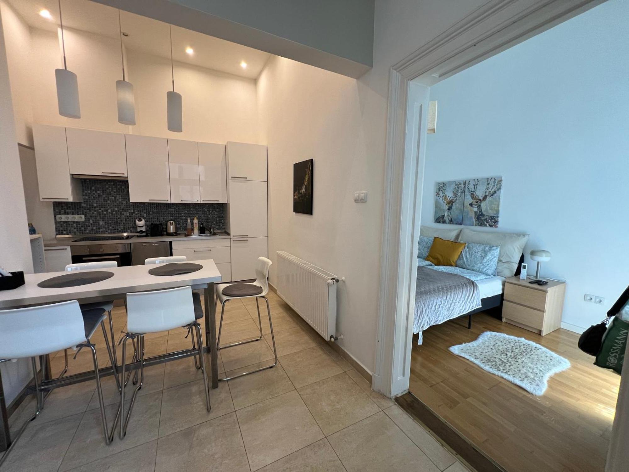 Apartment Spacious By Opera Budapest